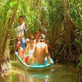 Manglares de San Crisanto