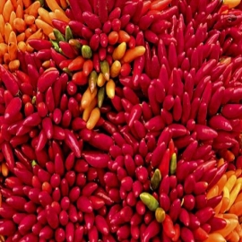 La mejor comida yucateca en Ciudad de México