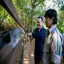 Garantiza el Municipio la protección de los derechos de la fauna y la tenencia responsable