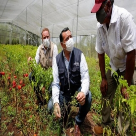 Entregan apoyos a beneficiarios de 'Manos al campo'