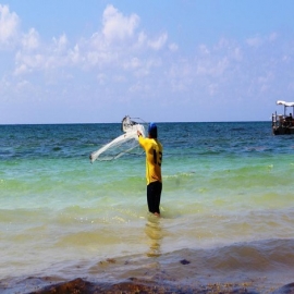 Playa del Carmen: Sector empresarial propone nuevas áreas de oportunidad económica