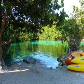 10 Cenotes Que Debes Visitar En La Península De Yucatán
