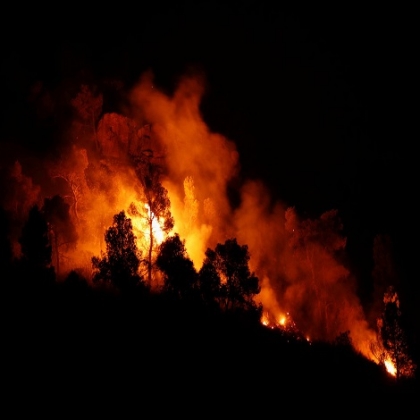 Un voraz incendio afecta a Cataluña en medio de la ola de calor que sufre España