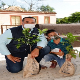 Realiza una visita de supervisión del programa “Adopta un árbol 2020” en la comisaria de Molas