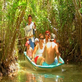 Manglares de San Crisanto