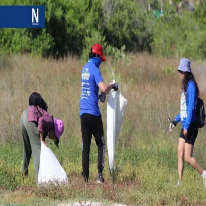 ¡Visitantes "cochinos"! recogen casi cinco mil toneladas de desechos en Progreso