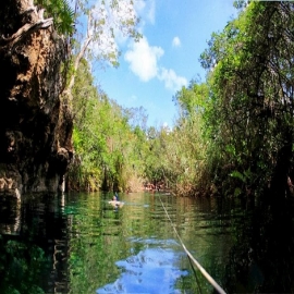 Cenote Escondido - Tulum