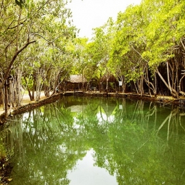 Reserva Ecológica El Corchito