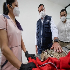 Nuevo hospital veterinario del Parque del Centenario, obra que refleja el bueno uso de los recursos de la ciudadanía, afirma el alcalde Renán Barrera Concha