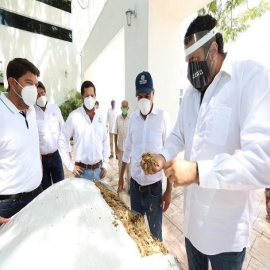 Campo yucateco registra importante crecimiento, a pesar de la complicada situación actual