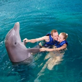 Delphinus Punta Cancun