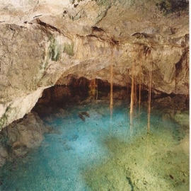 El cenote tulipanes