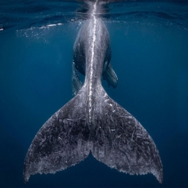 Las mejores fotos de viaje ganadoras del concurso National Geographic 2018
